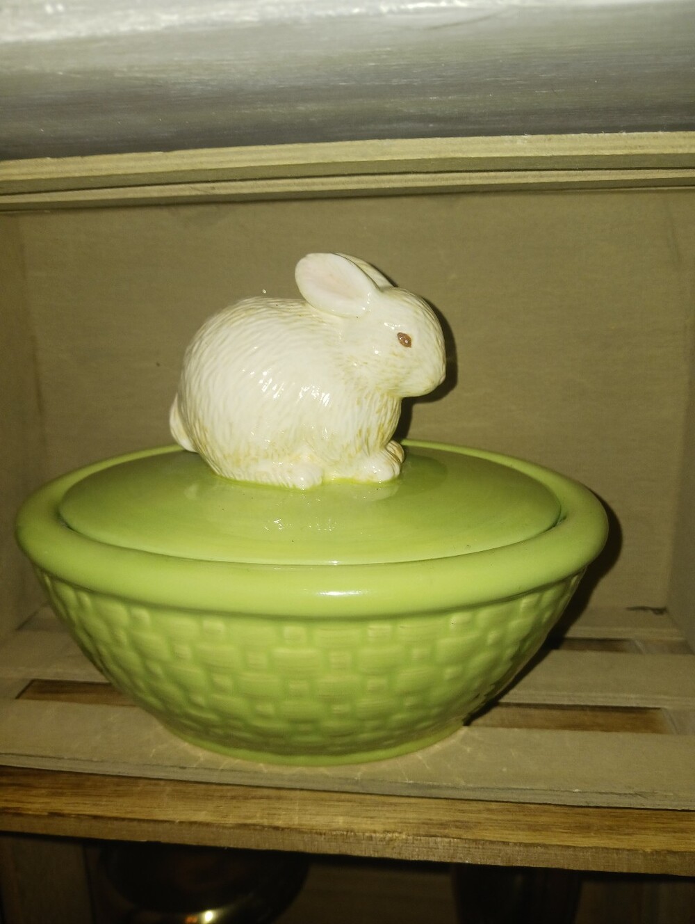 Beautiful Rabbit On Nest Candy Dish